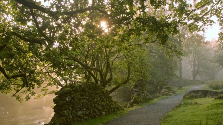 A quiet path beside a river in early morning mist, sunlight filtering through trees